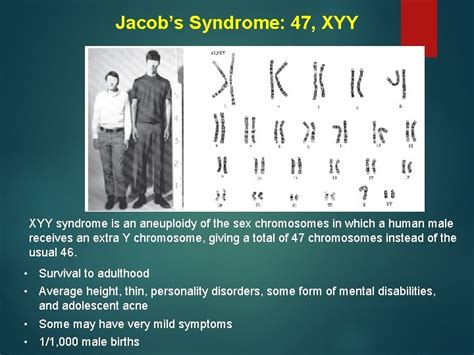 Human Chromosomes And Karyotyping Chromosomal Disorders Chromosome Abnormalities