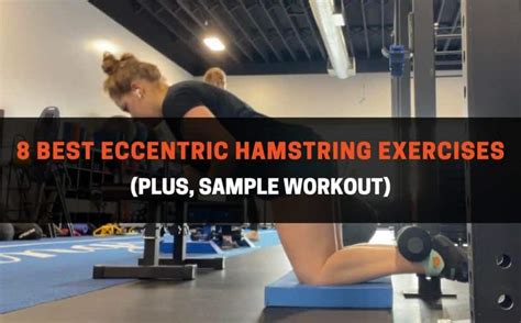 Best Eccentric Hamstring Exercises Pdf Sample Workout