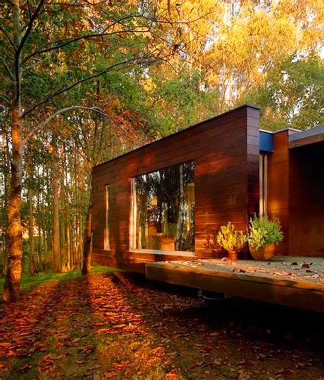 Fall Colors Beautify Modern Houses And Landscape Throughout Bright Season