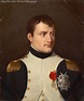 Portraits of Emperor Napoleon I by Robert Lefevre. | Napoleon, Napoléon ...