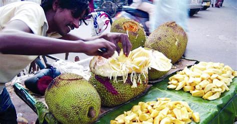 Jackfruit Declared As Keralas Official Fruit Livemint