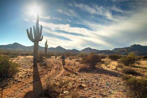 Arizonas Sonoran Desert Photo Gallery Rim Tours