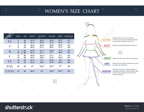 clothing size chart templates word excel formats