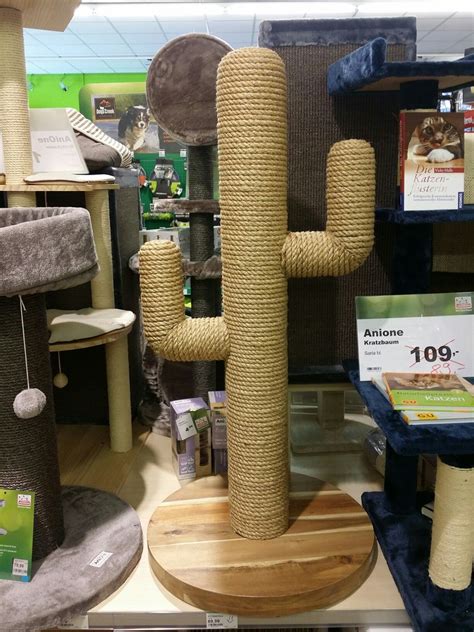 Cloud 9 cat trees was founded in 2007 by david harvey and is located in maple, ontario, canada. Cactus cat scratching post | Cat house diy, Diy cat tree