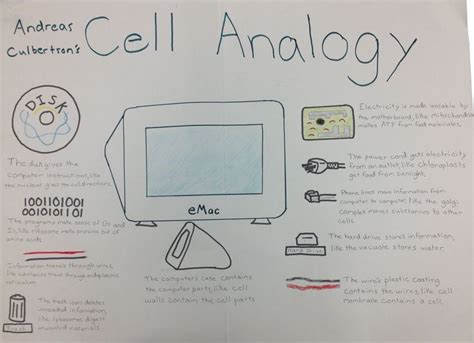Animal Cell Travel Brochure Examples