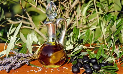 Para qué sirve el aceite de oliva Tiene poderes ocultos Vibra