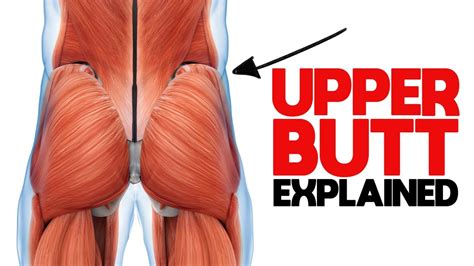 Unlock Your Glutes What You Need To Know About The Gluteus Medius