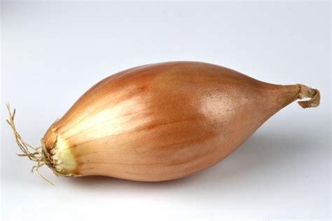 What Is A Shallot—and Whats A Good Substitute Eathabesha