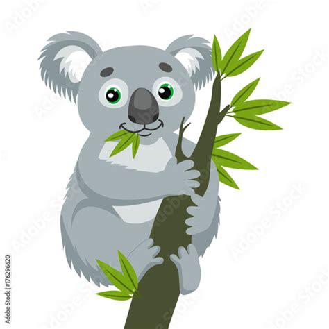 Koala Bear On Wood Branch With Green Leaves Australian Animal Funniest