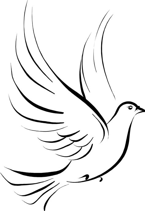 Columbidae Stencil Drawing Clip Art Dove Png Download 13731988