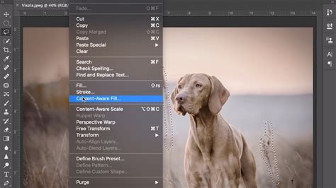 Image fills and foreground masks with Content Aware Fill Opplæringsmateriale for Adobe Photoshop