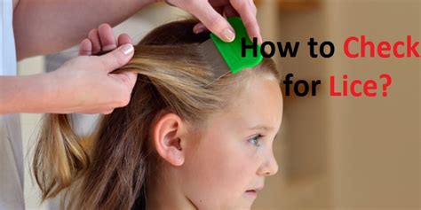 How To Check For Lice