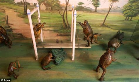 Bizarre World Of A Victorian Taxidermist In Special One Off Exhibition