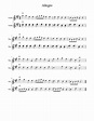 Allegro Sheet music for Violin (String Duet) | Musescore.com