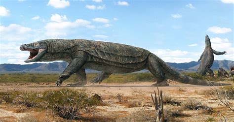 When Europe Was An Ocean Lizard Kings The Giant Monitors Of Prehistoric Australasia