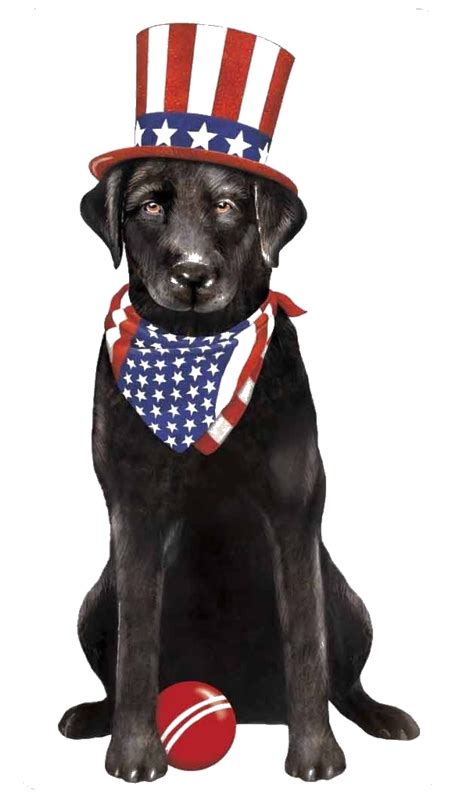 Patriotic Dog Black Labrador