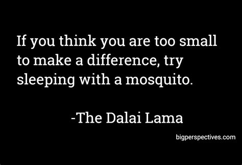 His holiness the dalai lama is greatly revered in the buddhist world, and is also highly respected as an international statesman, and as a man of peace and great wisdom. 50 Inspirational Dalai Lama Quotes - Big perspectives