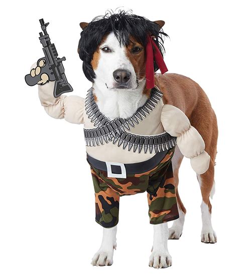 California Costumes Collections Pet20156 Apparel For Pets You Can