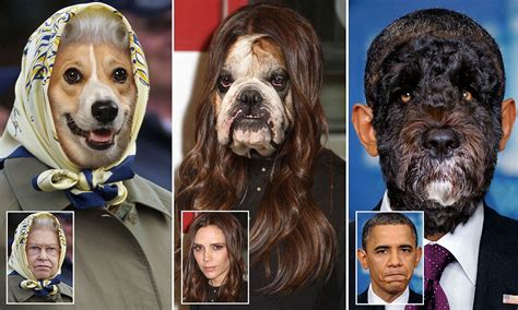 Pawtraits That Prove Owners Really Do Look Like Their Dogs Daily Mail