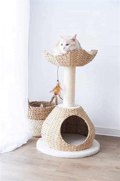 The Cutest Cat Condos You Can Get On Amazon