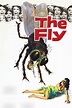 The Fly (1958) - Posters — The Movie Database (TMDb)