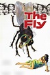 The Fly (1958) - Posters — The Movie Database (TMDb)