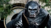 Apes Revolution - Il pianeta delle scimmie - Opinioni e recensione del ...