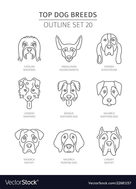 Top Dog Breeds Pet Outline Collection Royalty Free Vector