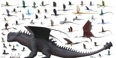 How To Train Your Dragon Species Bookwyrm Amino Amino