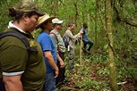 Guardianes de la selva en Guatemala luchan por mantener sus tierras ...