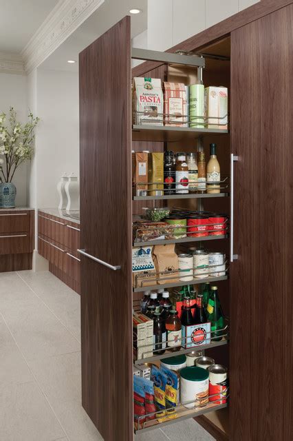 Tall Pull Out Pantry Modern Kitchen Houston By Cabinet