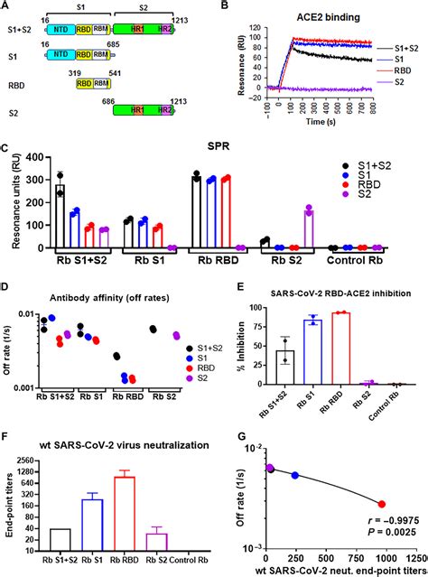 Antibody Signature Induced By Sars Cov 2 Spike Protein Immunogens In Rabbits Science