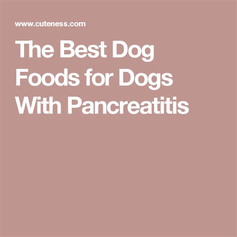 During pancreatitis treatment, your doctor may tell you not to eat or drink for a while. The Best Dog Foods for Dogs With Pancreatitis | Bland diet for dogs, Dog food recipes, Vegan dog ...