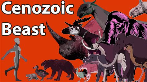 The Size Of Cenozoic Beasts Sizecomparison Animated Size