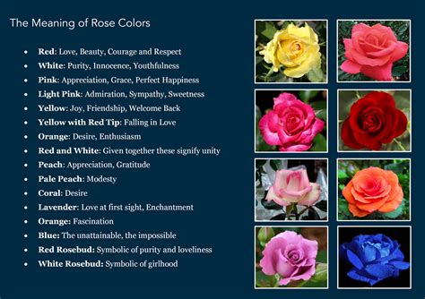 The Meaning Of Rose Colors Rose Color Meanings Rose Meaning Color
