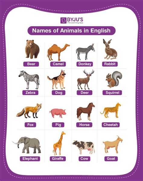 Animal Names Home Design Ideas