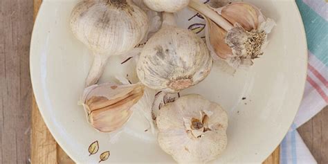 Do Garlic Cloves Go Bad Paperjaper