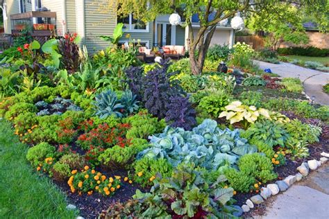 What Is Edible Landscaping How Do I Get Started Hunker