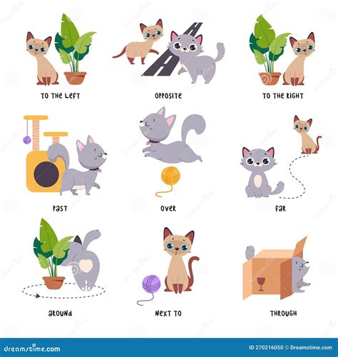 Cute Grey Cat Demonstrating Prepositions With Different Object Vector