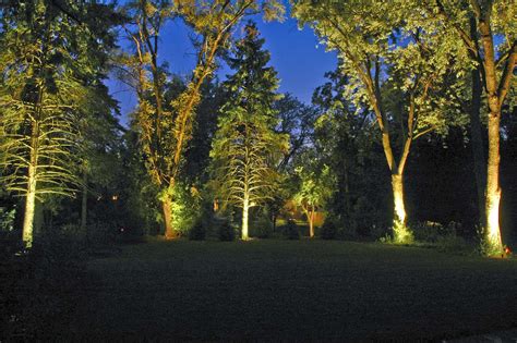 Landscape Lighting Trees Photos