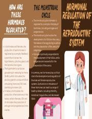 Kareem And Female Reproductive Systems Dysfunction Or Imbalance Of