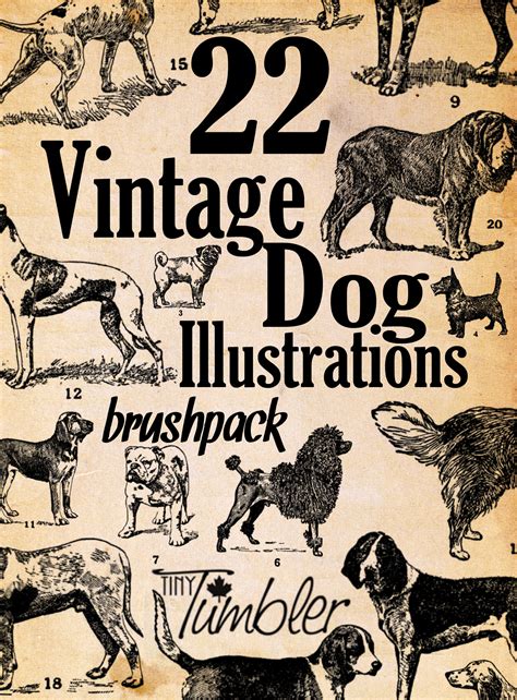 22 Vintage Dog Illustrations Brushpack By Tinytumbler On Deviantart