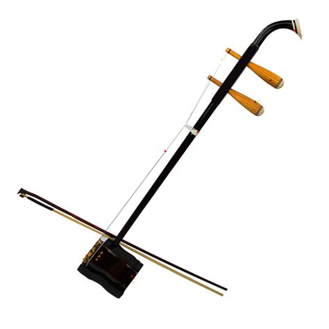 Chinese Erhu Chinese Instruments Professional Erhu Huqin Strik Muziek