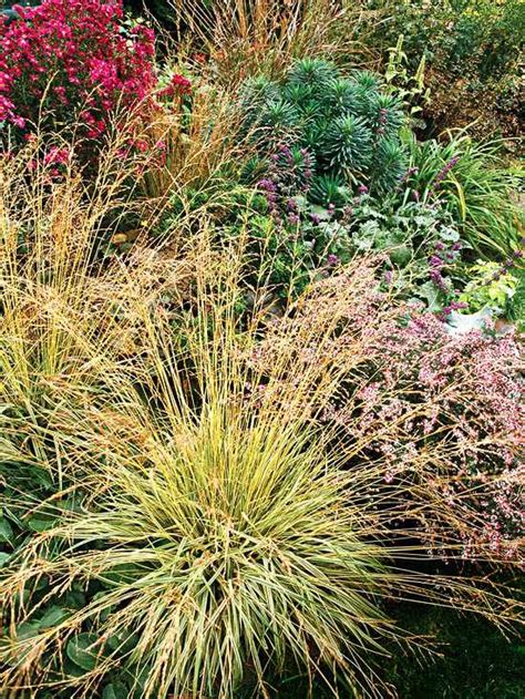 15 Top Native Plants Of The Pacific Northwest Better Homes And Gardens