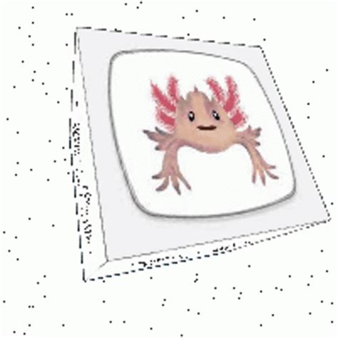 Axolotl Eat Sticker Axolotl Eat Descubre Comparte Gifs My Xxx Hot Girl