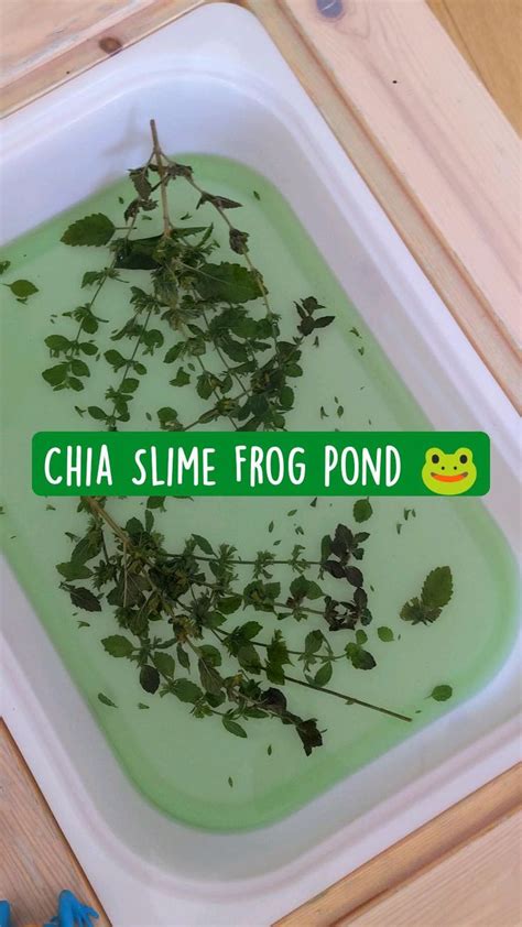 Chia Slime Frog Pond 🐸 Eyfs Activities Minibeasts Nursery Activities