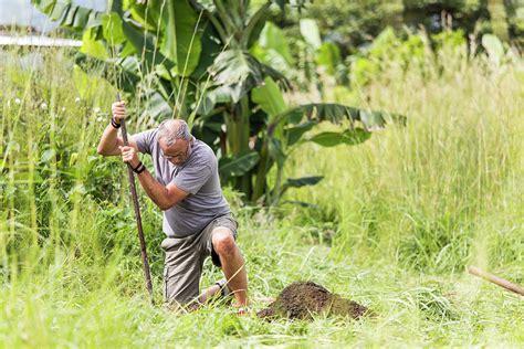 Elderly Man Digging Hole Outdoors Photograph By Cavan Images Fine