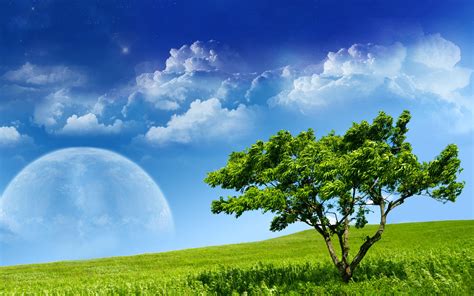 Tree Grass Sky Planet Mood Wallpaper 1920x1200 178622 Wallpaperup