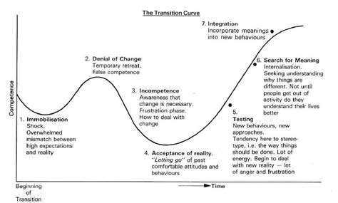 A money changer is a person or organization whose business is the exchange of coins or currency of one country for that of another. Transition Curve - Dobiquity