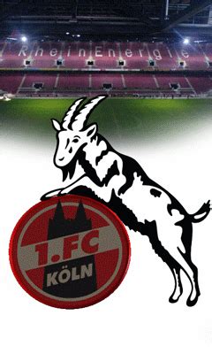 Last and next matches, top scores, best players, under/over stats, handicap etc. Suche 1. FC Köln Logos (Animiert) für LG KP 500